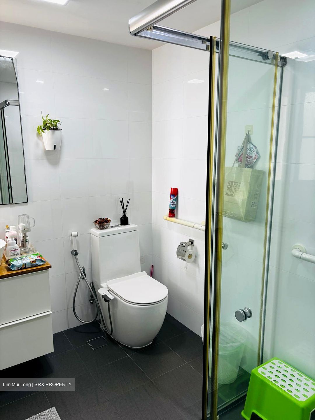 The Springbloom (D19), Condominium #632905071